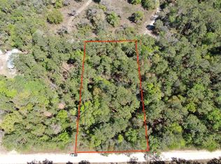 Vacant Ne Timber River Loop, Lee, FL 32059