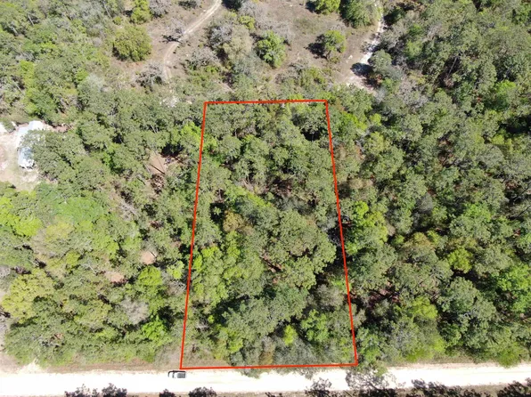 Vacant Ne Timber River Loop, Lee, FL 32059