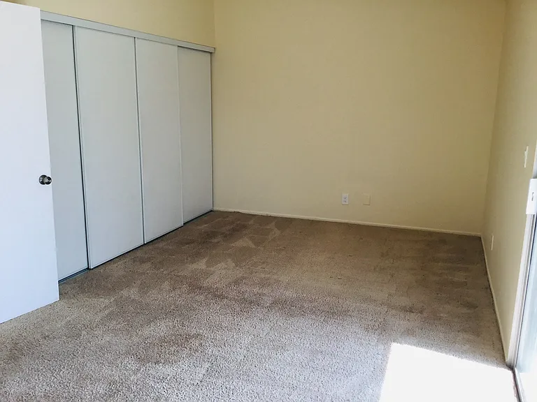 11850 Wild Flax Ln — Photo 4