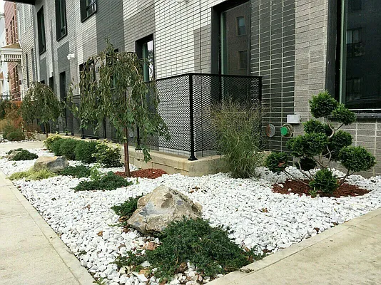 Rented by Cyberapts Management | media 17