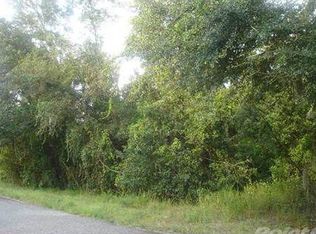 11506 Sweet Fern Dr, Riverview, FL 33569