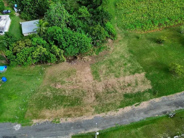 Bo Robles Carr 447 Km #4-hm 6, San Sebastian, PR 00685