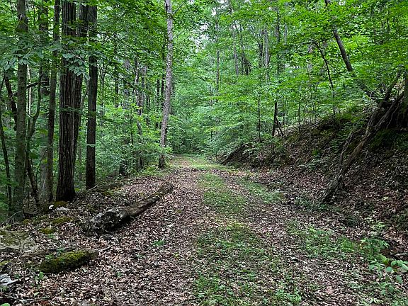 2nd image of 0 County Road 51 #15570