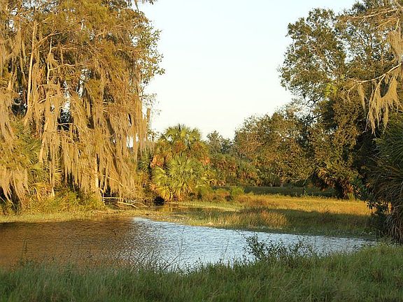 2nd image of 19100 County Road 833