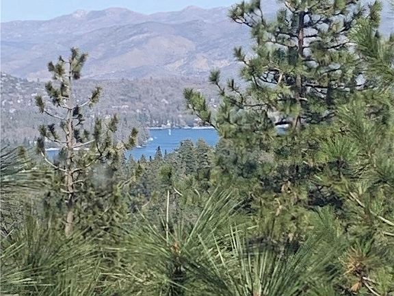 4th image of 1130 Park Pl