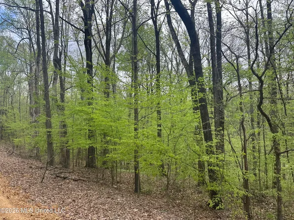 Tanyard Rd Lot 11, Hernando, MS 38632