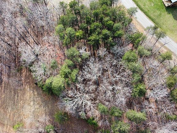 2nd image of 0 Pilson Sawmill Rd