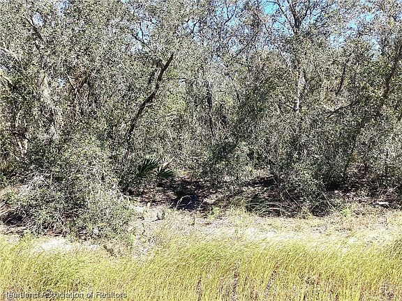 3rd image of 223 Summer Wind Ln