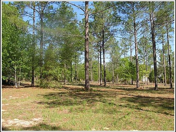 5th image of 35651 High Pines Dr