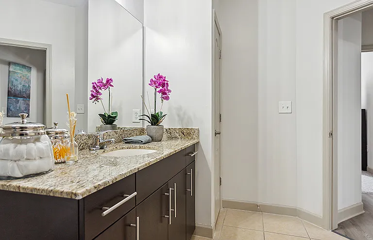 The Alexander at the District Apartments — Photo 19