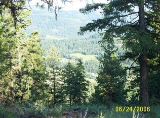 LOT 1 Scattergun Rd LOT 1, Rice, WA 99167