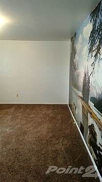1221 Mitchell Bedroom Mural