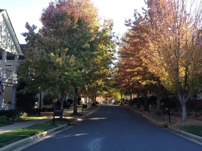 6608 Park Meadows Pl — Photo 28