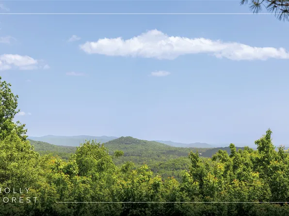 165 Birdnest Road, Sapphire, NC 28774