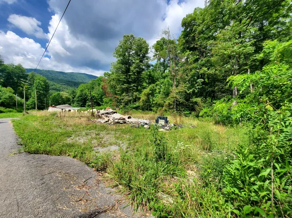 155 Tower Rd, Roan Mountain, TN 37687
