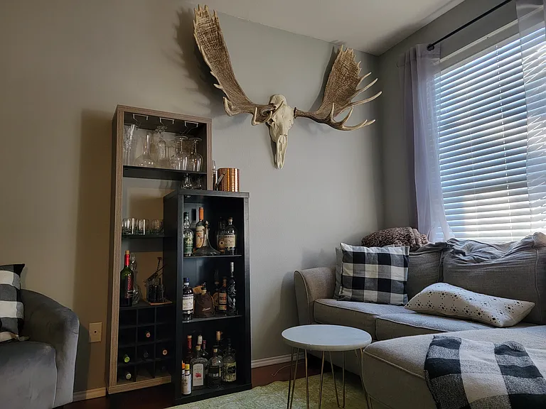 3132 Deleon Dr — Photo 6