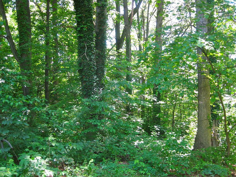 1st image of 119 Hillside Dr #10