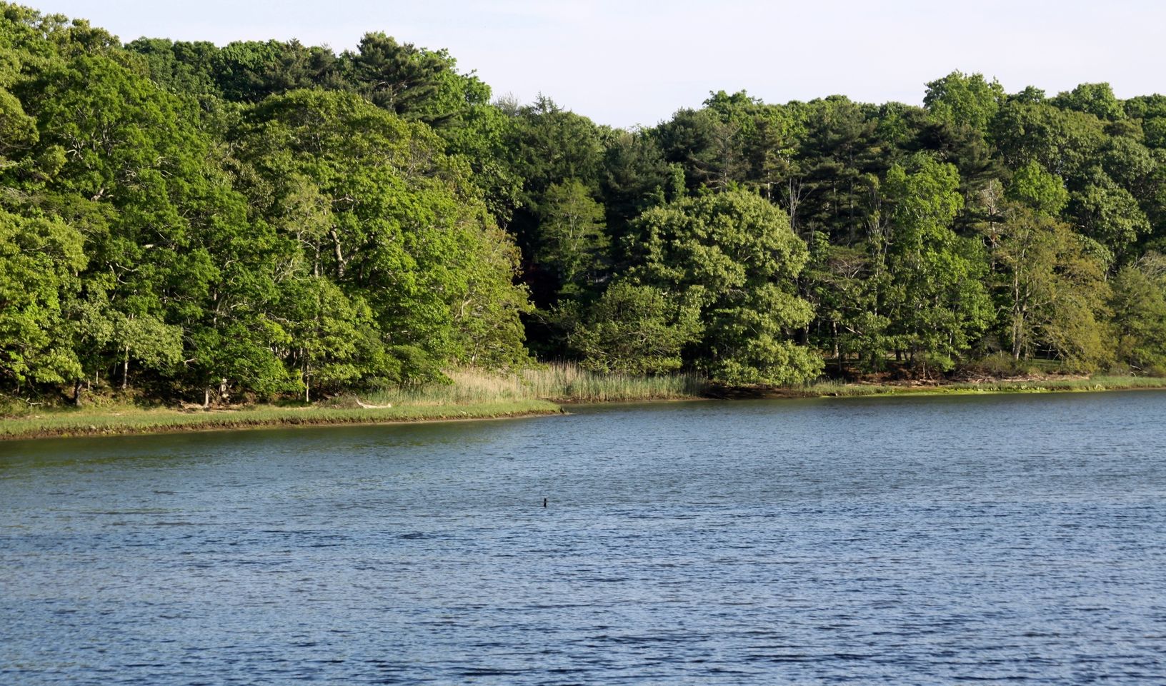Chase Creek