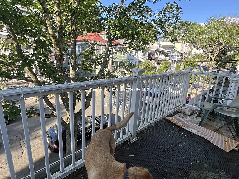 45 Raymond Ave #1 — Photo 28