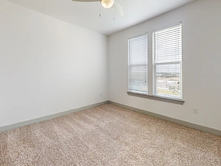 Palo Verde — Photo 113