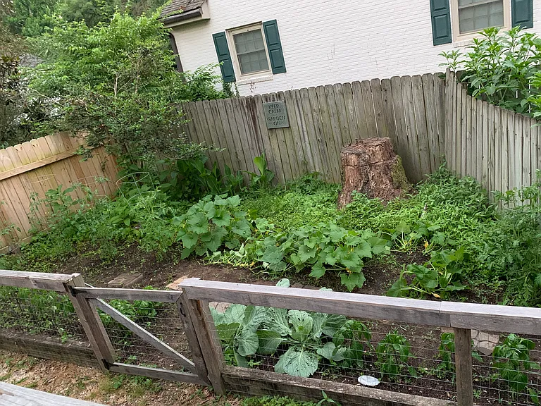 8604 Waxford Rd — Photo 31