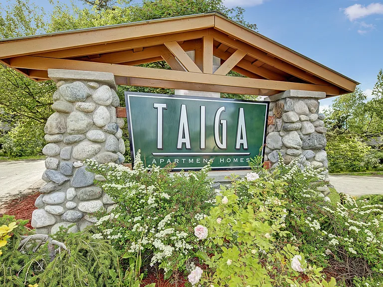 Taiga — Photo 18
