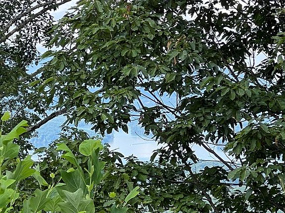 2nd image of LOT-73M Ridges Overlook