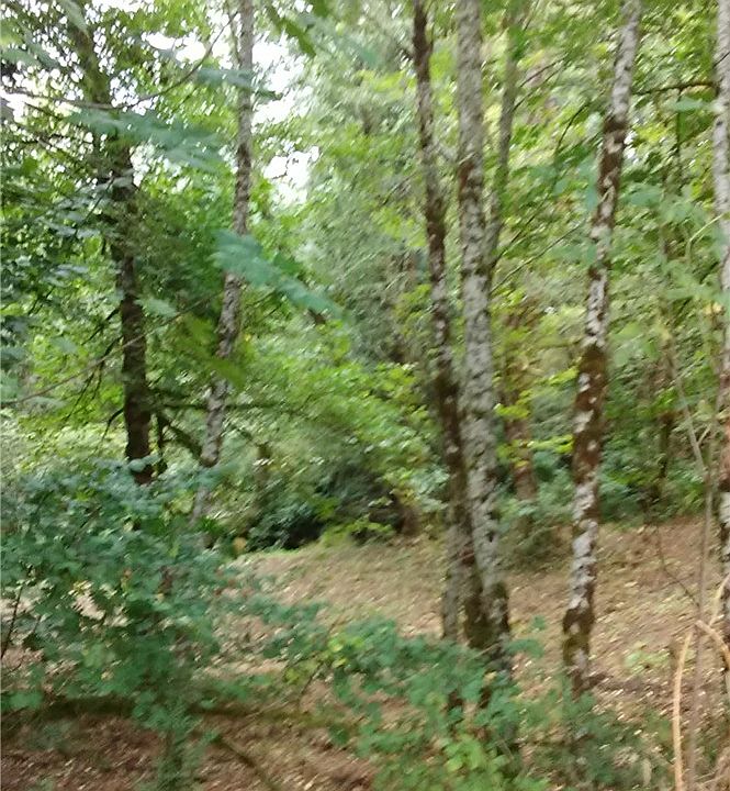 2nd image of 459 Quick Rd