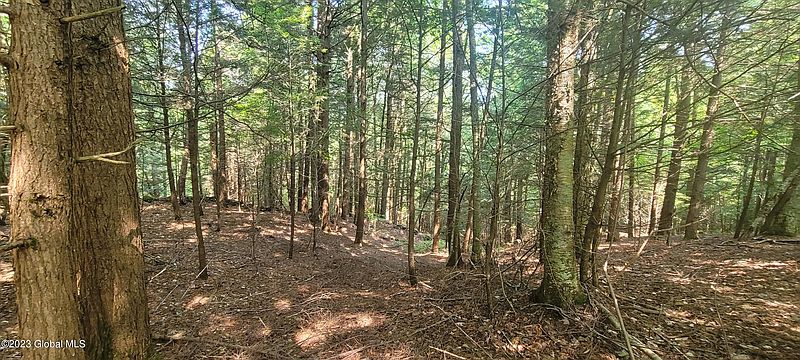 3rd image of L65 Centerline Road