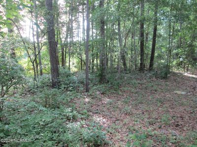 581 Woodie Court SW, Supply, NC, 28462