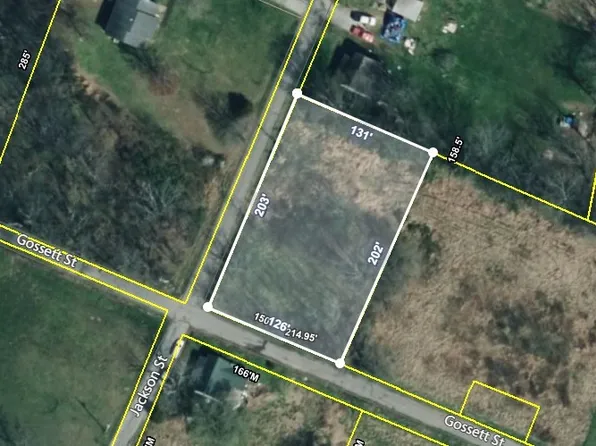 114 Jackson St, Cedar Hill, TN 37032