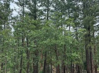 15 N BUTTERMILK Lane #52, Alpine, AZ 85920