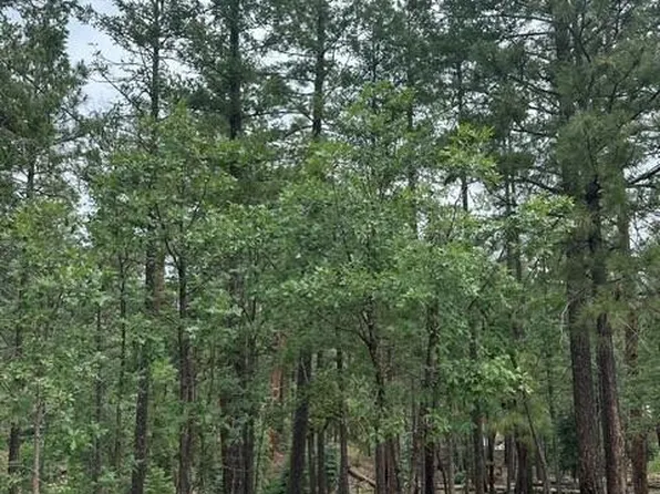 15 N BUTTERMILK Lane #52, Alpine, AZ 85920