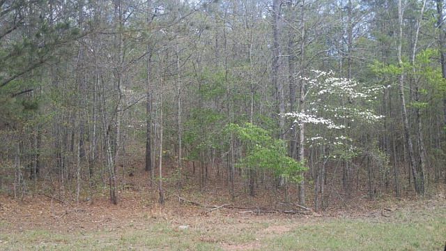 2nd image of 5594 Goldsboro Rd