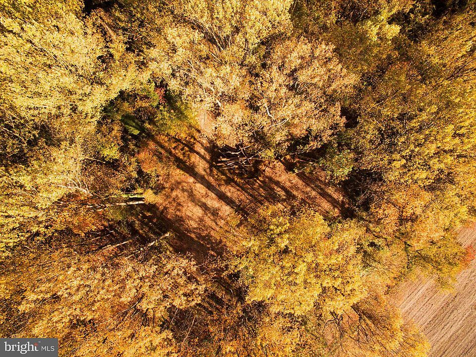 1st image of 1330 Tulip Tree Grv