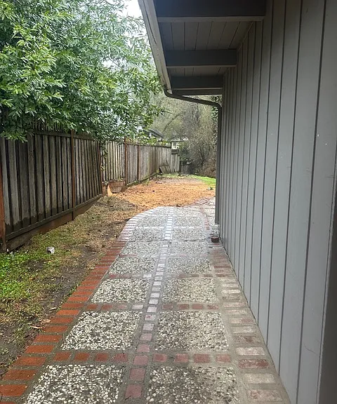 455 Maple Ave — Photo 15