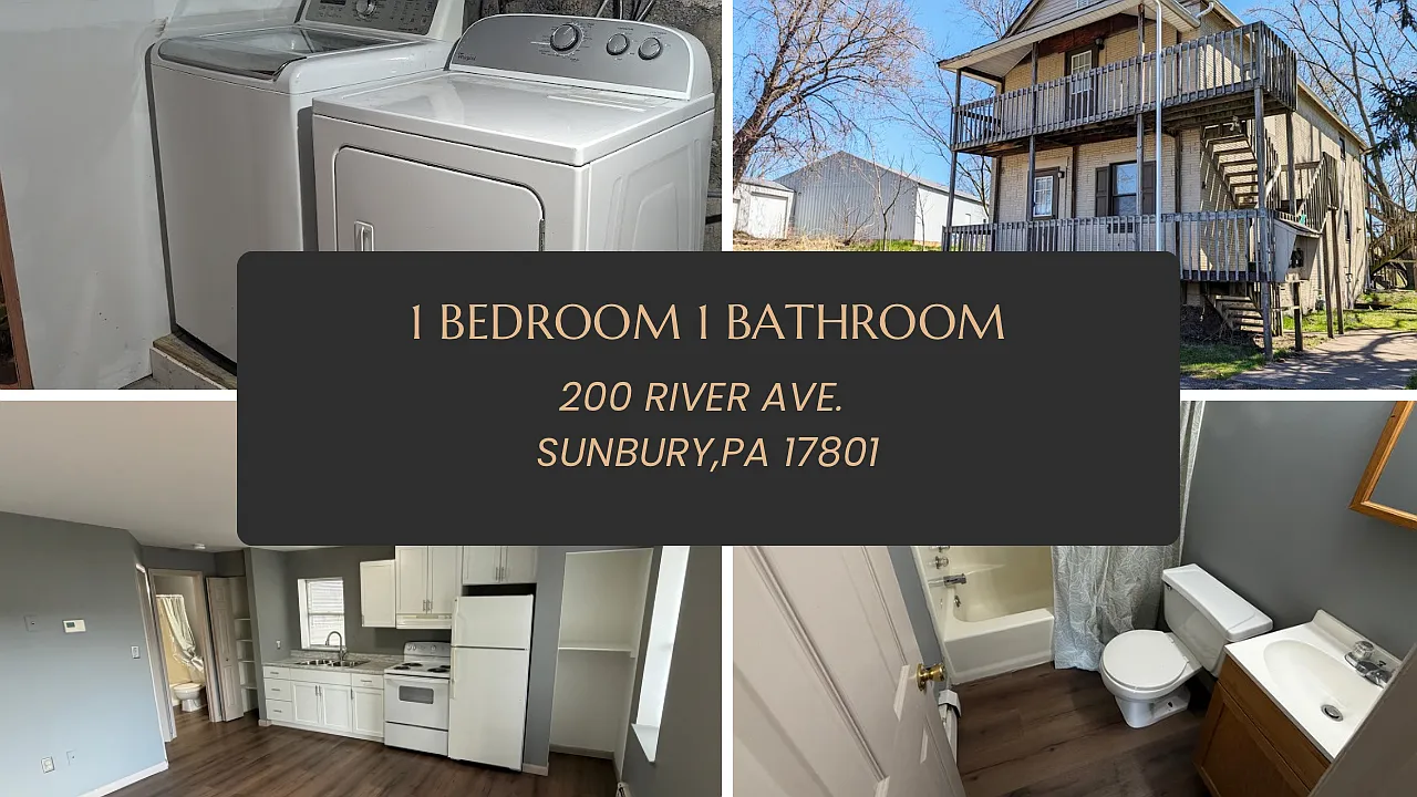 1 bed, 500 sqft, $775 — Photo 1