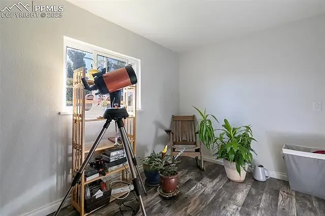 3905 Red Cedar Dr — Photo 18