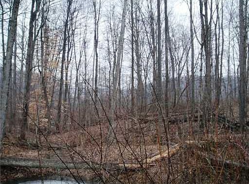 4th image of 4594 Pintail Ct