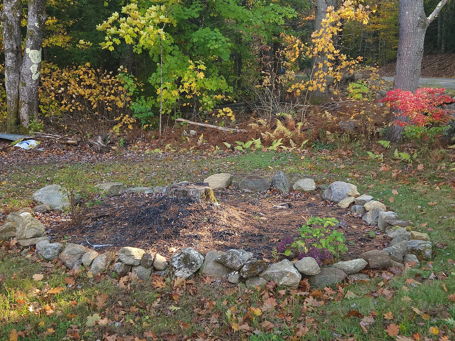 3 bed, 1199 sqft, $3,000 — Photo 3