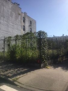 314 49th St, Brooklyn, NY, 11220