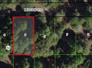 2513 Reagan St, Inverness, FL 34453