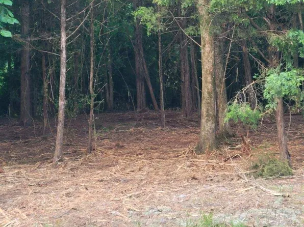 421 Hardee Ave, Smyrna, TN 37167