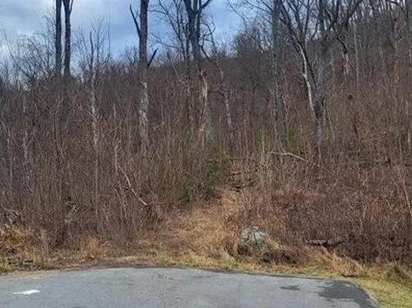 703 Topside Rd, Gatlinburg, TN 37738