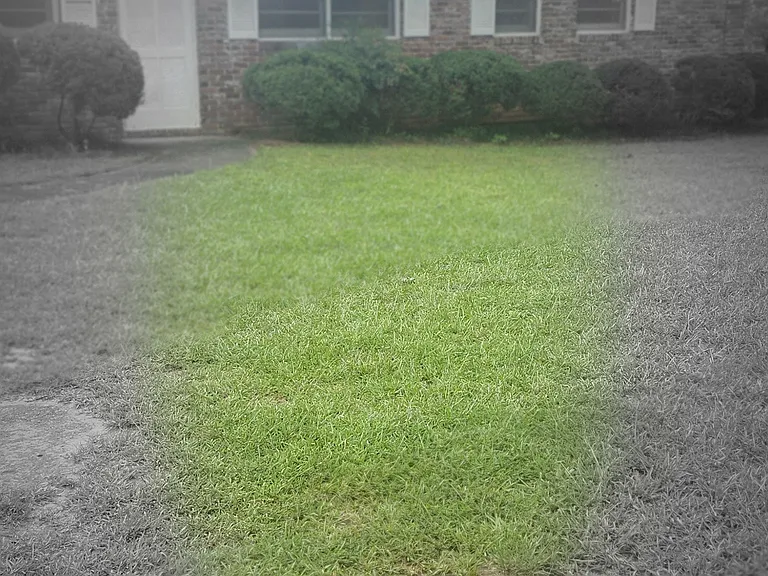2235 Dresden Dr NE — Photo 14