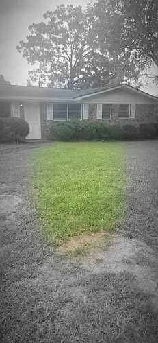2235 Dresden Dr NE Photo 1