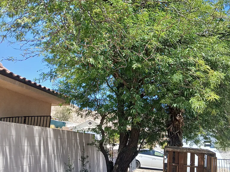 10785 Pomelo Dr #3 — Photo 13