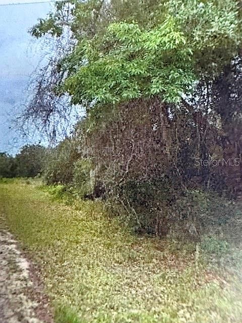 2nd image of WALTON