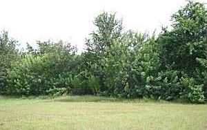 2nd image of 8141 Tar Hollow Dr