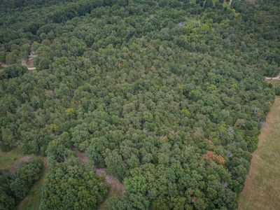 TRACT County Road 1034 #B, Clarkridge, AR, 72623